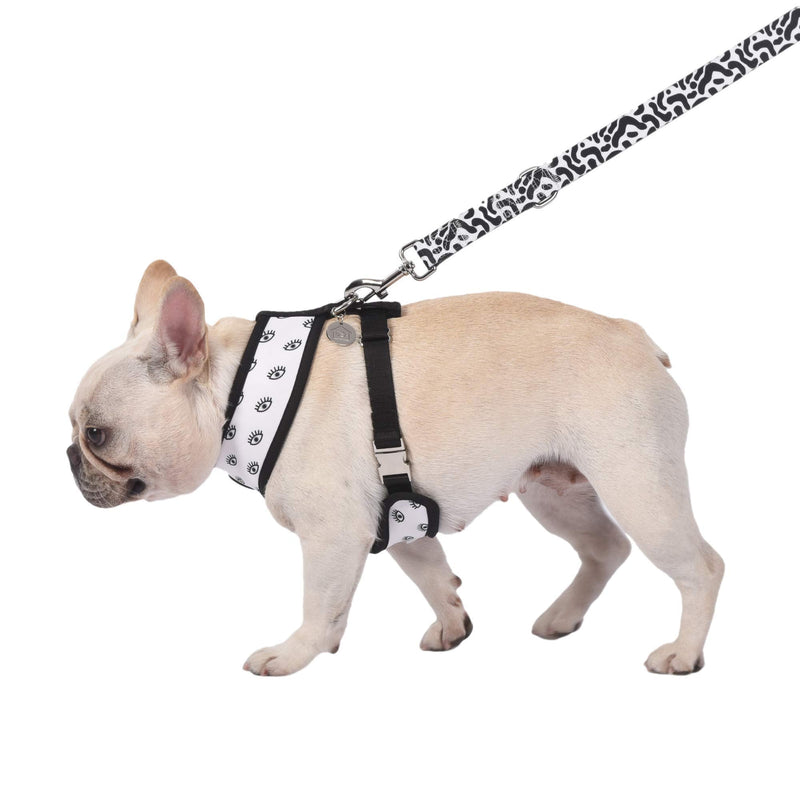 Now House for Pets by Jonathan Adler Now House Wink Reversible Harness, Large | Stylish, Fashionable, Functional Way to Keep Your Dog Looking Great | Cute, Adorable Dog Accessories for Pets - PawsPlanet Australia