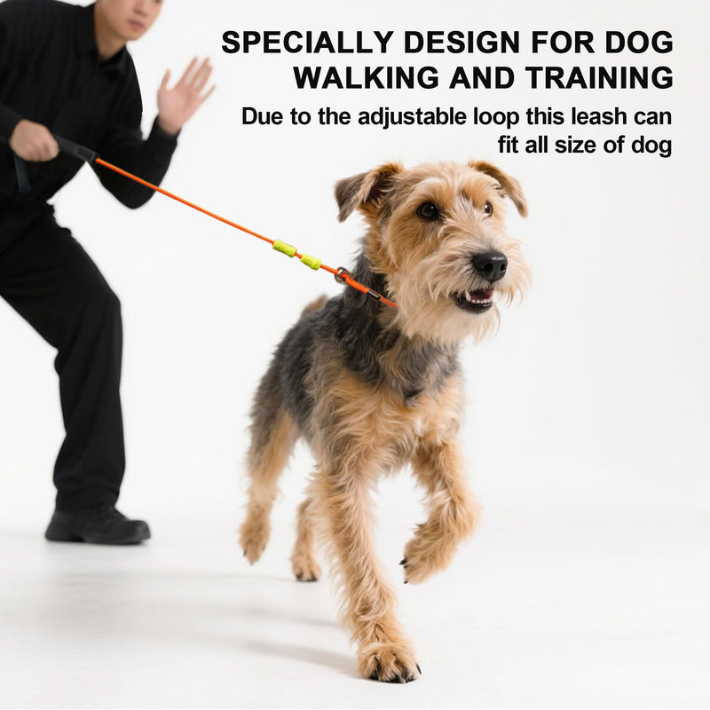 ?BeauGo| Slip Lead Dog Leash|Dog Training Leash,No Pull Training Lead,2-in-1Dog Lead & Collar,Strong Heavy Duty Braided,Professional Trainer Rope for Small Medium Large Dogs.Slip Leads for Dogs 5 FT Training(5ft*1.5M Long? ORANGE - PawsPlanet Australia