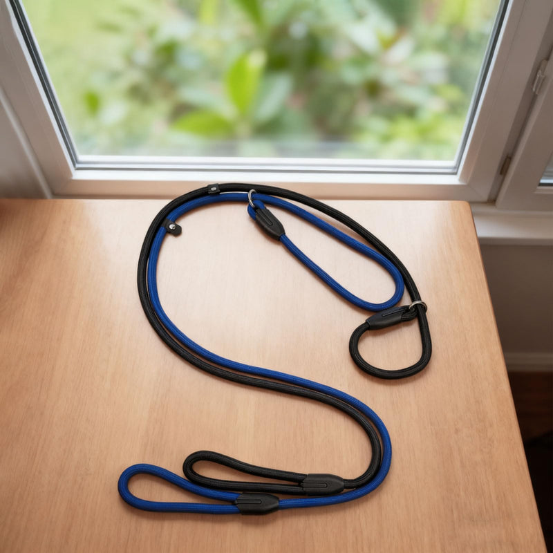 2-Pack Adjustable Nylon Slip Dog Lead – Collar-and-Leash Integrated Design for Training (Black/Blue) - PawsPlanet Australia