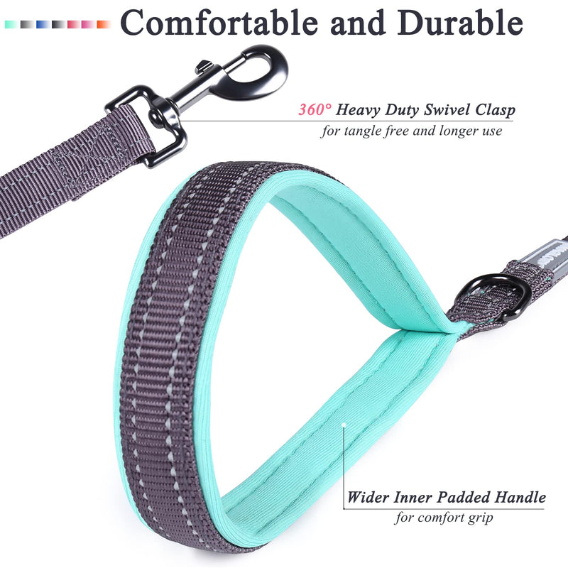 VIVAGLORY Dog Leash, Dog Training Leash with Comfortable Padded Handle, Heavy Duty Reflective for Safety Walking Leash for Medium & Large Dogs 3 ft. x 1 in. (25~120 lbs.) Grey