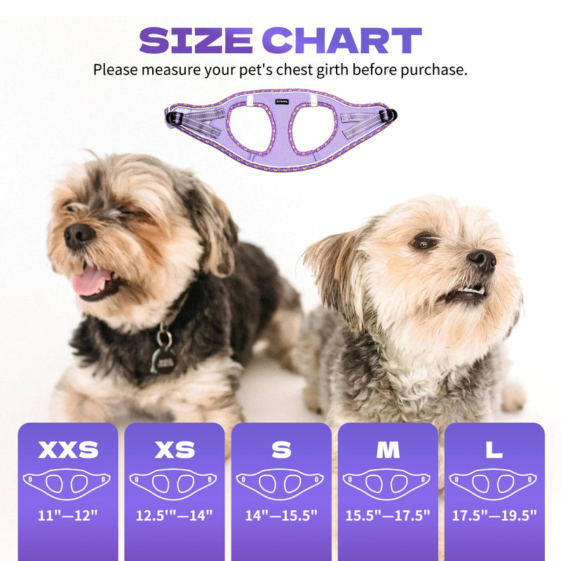 Rttochfy Small Dog Harness, Soft and Reflective Puppy Harness, Dog Harness and Leash Set for Small Size Dogs Training, Walking (Purple S) S (Chest:14"-15.5") Purple - PawsPlanet Australia