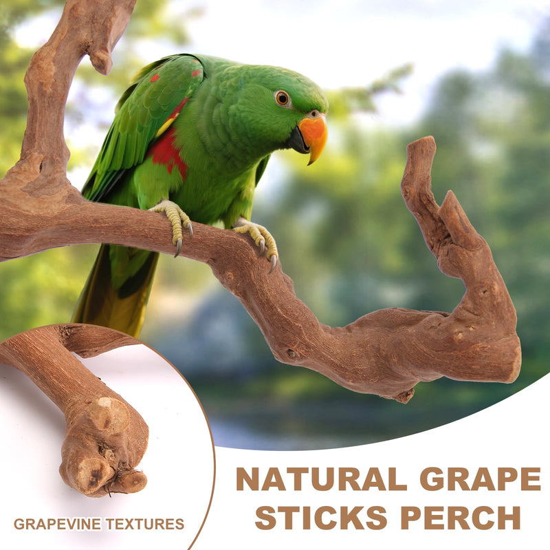 Parrot Perch Bird Perch Stand Set Natural Wild Wood Grape Sticks Paw Grinding Fork Parakeet Climbing Standing Branches Toys Cage Accessories for Conure,Cockatiels Lovebirds,Budgies Chewable 6PC - PawsPlanet Australia