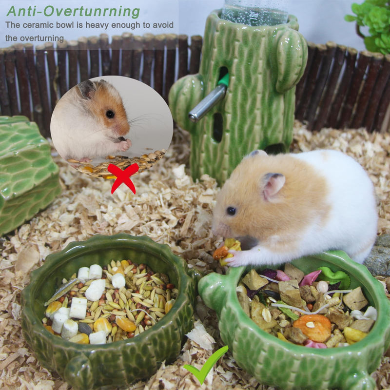 Hamster Food Bowl, 2 Packs Cactus Food & Water Bowls Ceramic Feeding Drinking Bowl Food Dish for Small Animals Gerbil Dwarf Hamster Rat Mice Guinea Pig(Green+Dark Green) Green+Dark Green - PawsPlanet Australia