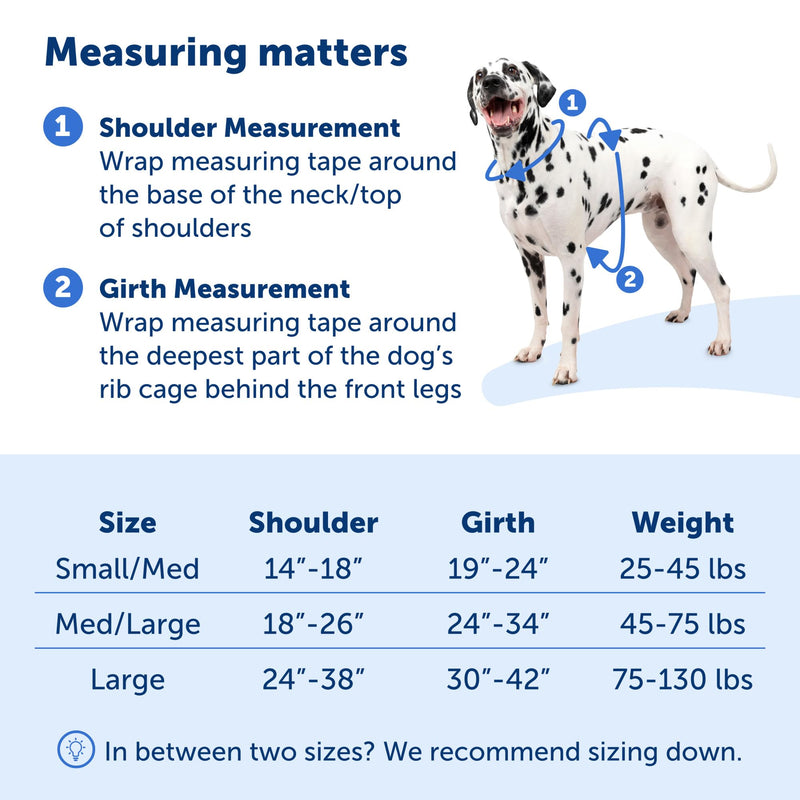 PetSafe Easy Walk Comfort No-Pull Dog Harness Full-Body Padding - Better Walks on The First Use - 5 Points of Adjustment Medium/Large, Blue