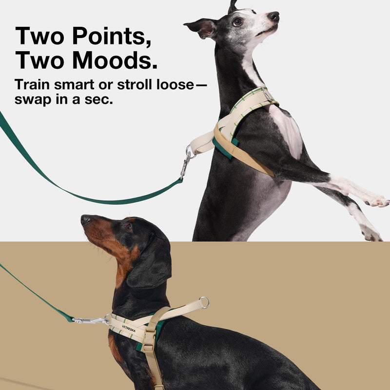 VETRESKA Dog Harness and Leash Set, Easy Walk Dog Harness for Small Medium Dogs, No Pull Puppy Harness for Walking and Training, Adjustable, Anti-Twist Leash (Santal Forest, XS) XS(Chest: 16.9"-22")