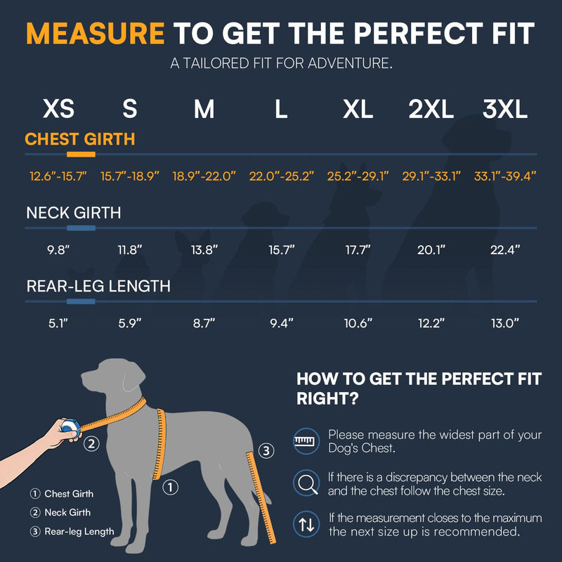 Queenmore Dog Recovery Suit for Rear Legs, Soft Comfortable Dog Shirt to Prevent Licking, Recovery Suit for Dogs, Back Leg Wound Protection After Surgery, Grey XL X-Large