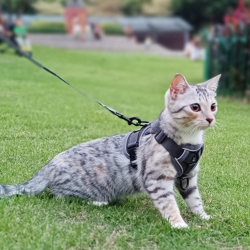 pangdi Cat Harness and Leash Set Escape Proof Tactical Large Kitten Harness Emotional Support Cat Vest, Grey, L 01 Grey - PawsPlanet Australia
