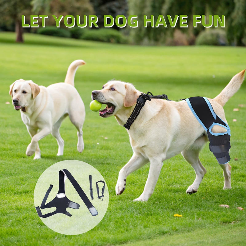 Adjustable Dog ACL Knee Brace for Hind Leg Support, Cruciate Ligament Recovery with Collar Fastening Belt- Extra Stabilizers, Comfortable Wrap & Straps (Blue, S) Single leg guard