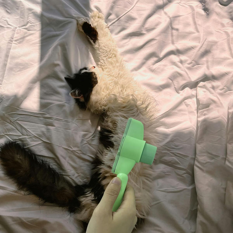 2PCS Cat Comb Dog Hair Comb，Pet Grooming Cleaning Comb，Pet Hair Removal Tool with Release Button - PawsPlanet Australia