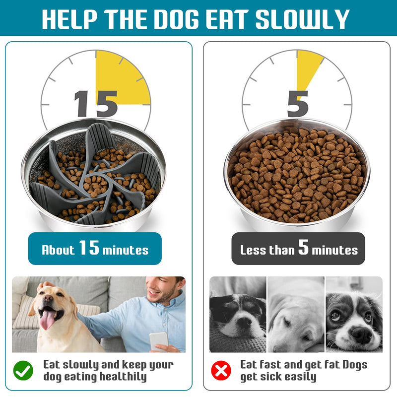 2 Pcs Dog Bowl Slow Feeder Insert, Cuttable Slow Feeder Dog Bowl Insert with Strong Suction Cups, Cat Dog Feeding Supplies, Slow Feeder for Most Dogs Bowl or Dogs Dish 2 PCS Gray + Blue - PawsPlanet Australia