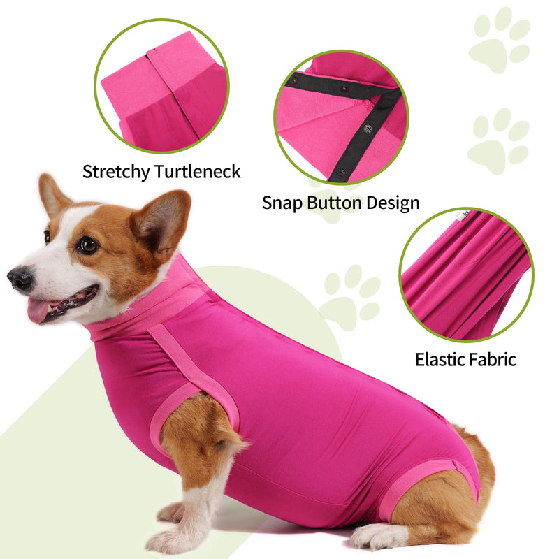 HEYWEAN Dog Recovery Suit - Female Spay Post Op Suit for Dogs After Surgery M Rose