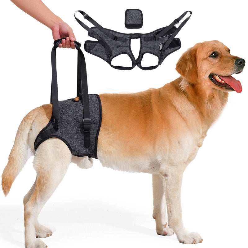 Dog Lifting Harness for Back Legs, Dog Support Harness, Adjustable Walking Aid, Hind Leg Brace for Injured, Elderly Dogs (Dark grey, M) Dark grey