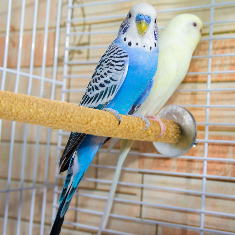 10 Pieces Bird Perch Stand Parrot Stand Paw Grinding Stick Parrot Perch Rough Surfaced Bird Cage Stand Colorful Wooden Parakeet Perch Toys for Cockatiels Cage Accessories