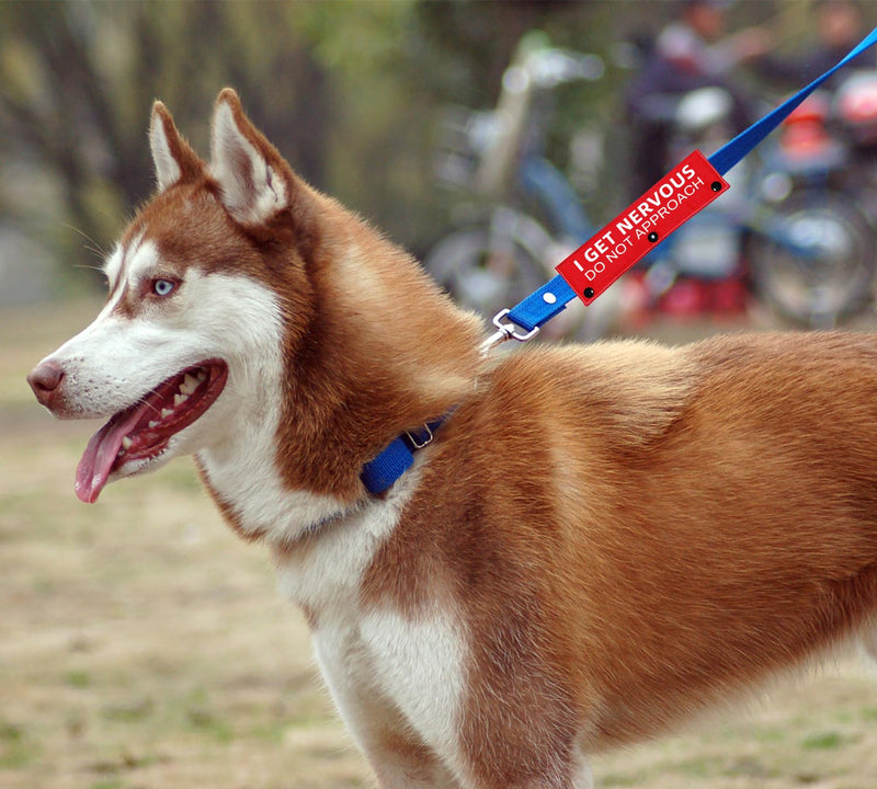 Advivio I Get Nervous Do Not Approach, Red Funny Dog Leash Sleeve, Shy Rescue Leash Wrap - Nervous/Shy Dog Gift and Dog Owner Gift - PawsPlanet Australia