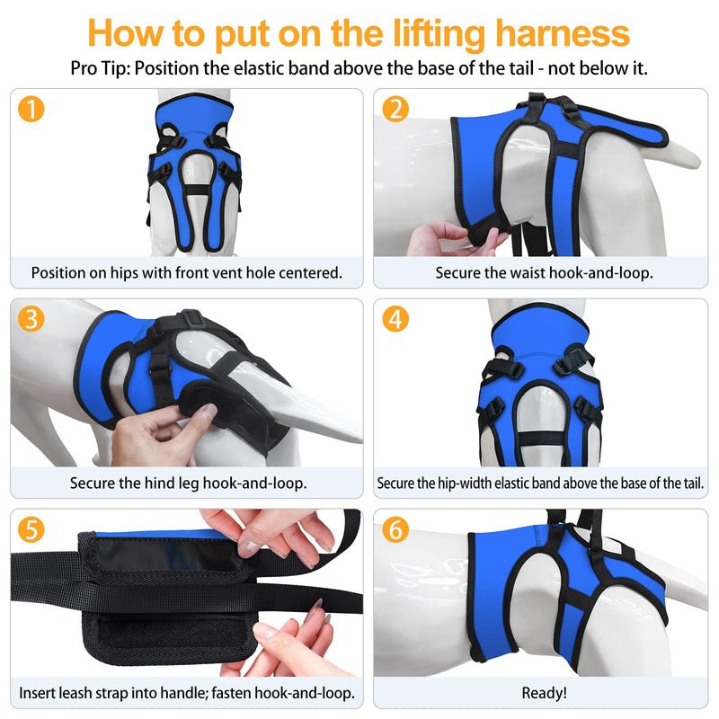 LIANZIMAU Dog Sling for Large Dogs Adjustable Hind Leg Support Lift Harness Senior Canine Mobility Aid Carrier for Back Legs Walking Rehabilitation Royal Blue L - PawsPlanet Australia