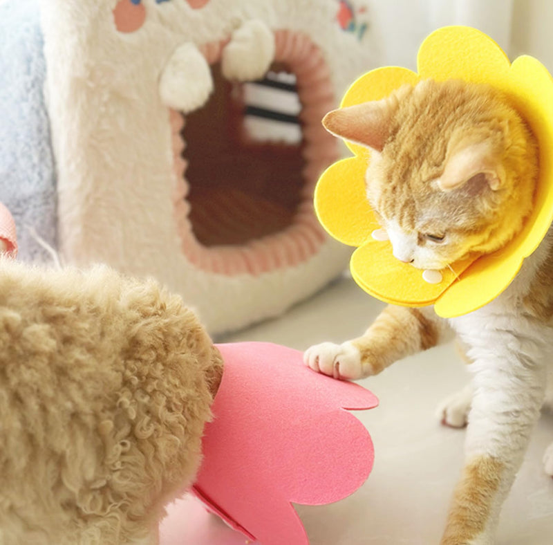 Amexo 3-Piece Cat Protective Collar - Soft, Anti-Bite, Adjustable, Felt, Pink, Yellow, Orange