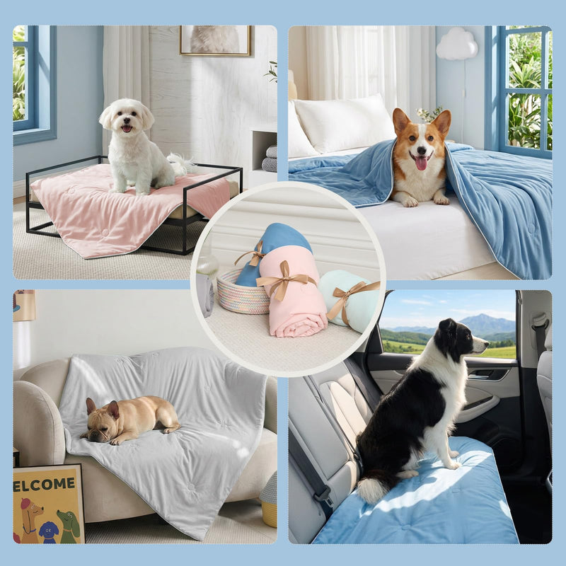 Soulbond Cooling Blanket for Extra Large Dog - Q-MAX>0.45, Washable Cool Pet Throw Blanket for Cat, Puppies, Breathable Soft Self-Cooling Dog Bed Mat for Crates Couch Sofa, 50x60 Inch, Aqua Green 50" x 60" (X-Large) - PawsPlanet Australia