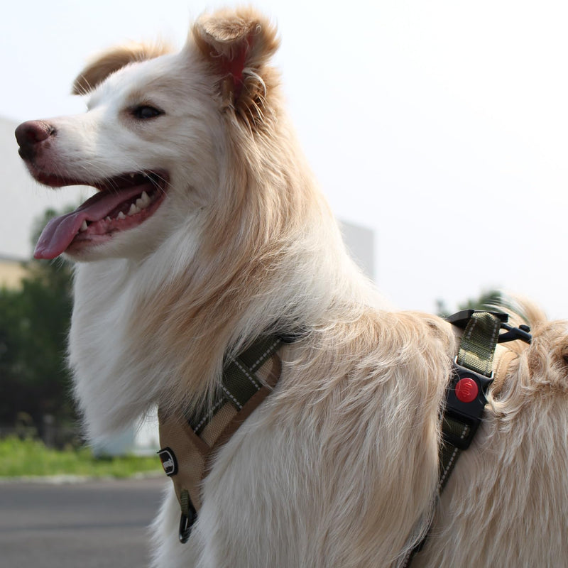 Tactical Dog Harness and Leash Set for Extra Large Dogs, No Pull Heavy Duty Pet Vest Collar with Handle, Reflective Walking Harnesses with Leashes, Anti Escape Chest Collars for Puppy XL KHAKI GREEN SET - PawsPlanet Australia