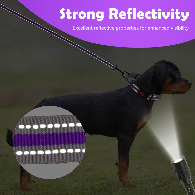 Martingale Collar for Dogs,Soft Neoprene Padded Reflective Martingale Collar and Leash Set Safety Buckle Nylon Martingale Dog Collar for Medium Dogs(Purple&M) Purple - PawsPlanet Australia