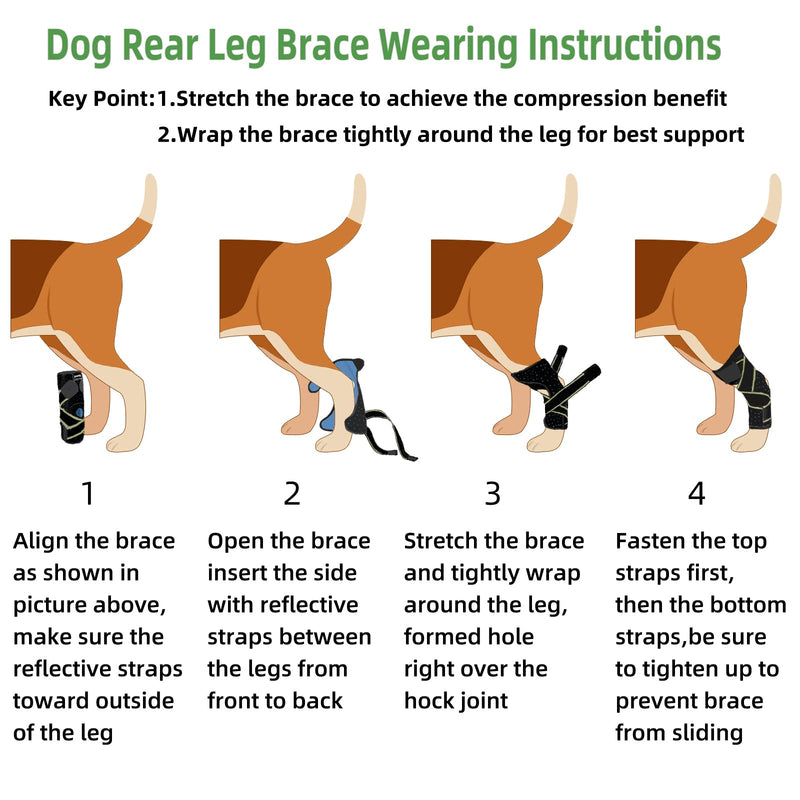 Dog Canine Rear Leg Hock Joint Brace, Pair of Dog Leg Double Compression Brace with Metal Spring Strips, Protects Hind Leg Wounds, Injuries and Sprains Helps Arthritis-M Medium - PawsPlanet Australia