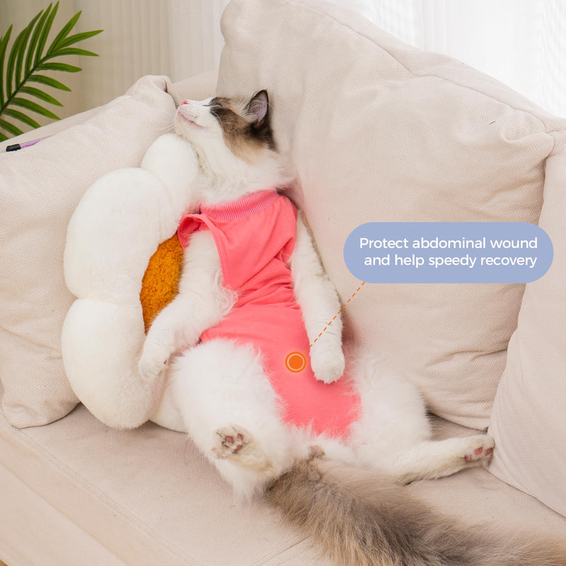 Avont Cat Recovery Suit Post-Surgery Onesie Bundle with Adjustable Cat Cone Collar - M