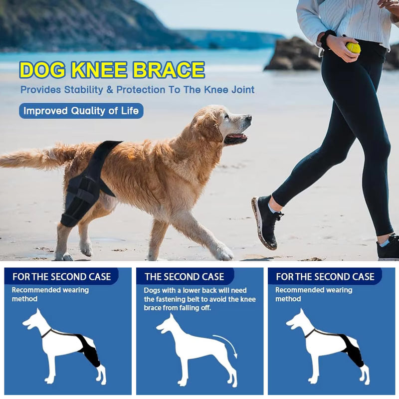 Knee Brace for Dog Torn Acl, Dog Knee Leg ACL Brace Adjustable Dog Braces for Back Leg for Support for Dog ACL CCL Recovery with Dog Leg Braces for Dog Hind Leg Reduce Pain & Muscle Sore (M) Medium - PawsPlanet Australia