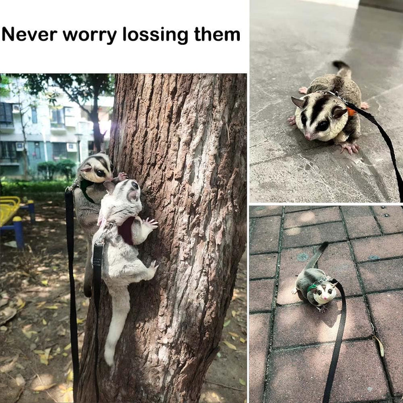 3+1 Sugar Gliders Harness Leash Set with Carrier Carry Carrying Bag Pounch Training Walking Gear Traction Rope Strap Small Animal Leash for Hamster Lizards Dragon Squirrels Rats - PawsPlanet Australia