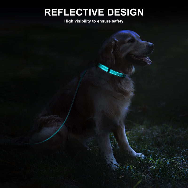 Soft Neoprene Padded Dog Collar and Leash Set for Small Medium Large Dogs, Reflective Durable Nylon Dog Collar with 5ft Leash Easy for Walking, Teal,Neck fit 10.5-15.5’’ S:Neck 10.5-15.5’’, Leash 3/4’’*5ft - PawsPlanet Australia