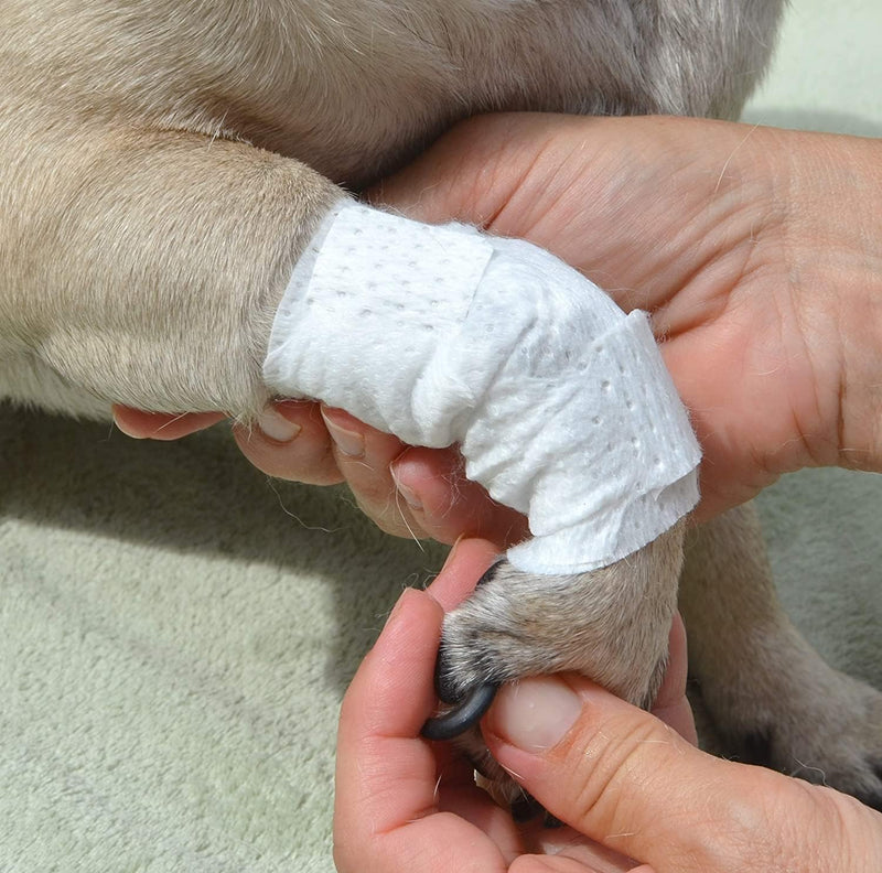 Joint and Large Area Wound Bandages for Dogs Cats & Other Pets. Great for Leg Joint sprains and Tail Injuries! Non Adhesive Breathable Non-Slip Disposable Washable Value Pack (Medium 12pk) White Medium 12pk - PawsPlanet Australia