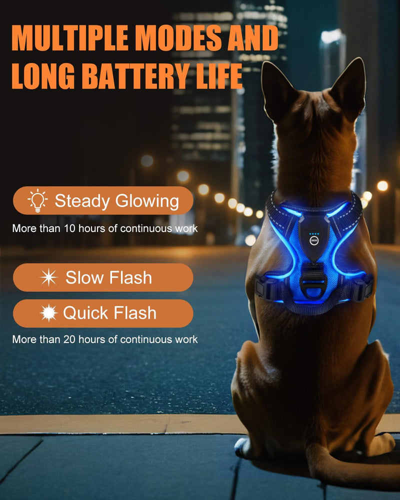 Light Up Dog Harness - LED Dog Harness Rechargeable for Night Walking, Three Lighting Modes, Flashing for More Than 20 Hours, Oxford Cloth(Blue/Large) Blue Large - PawsPlanet Australia