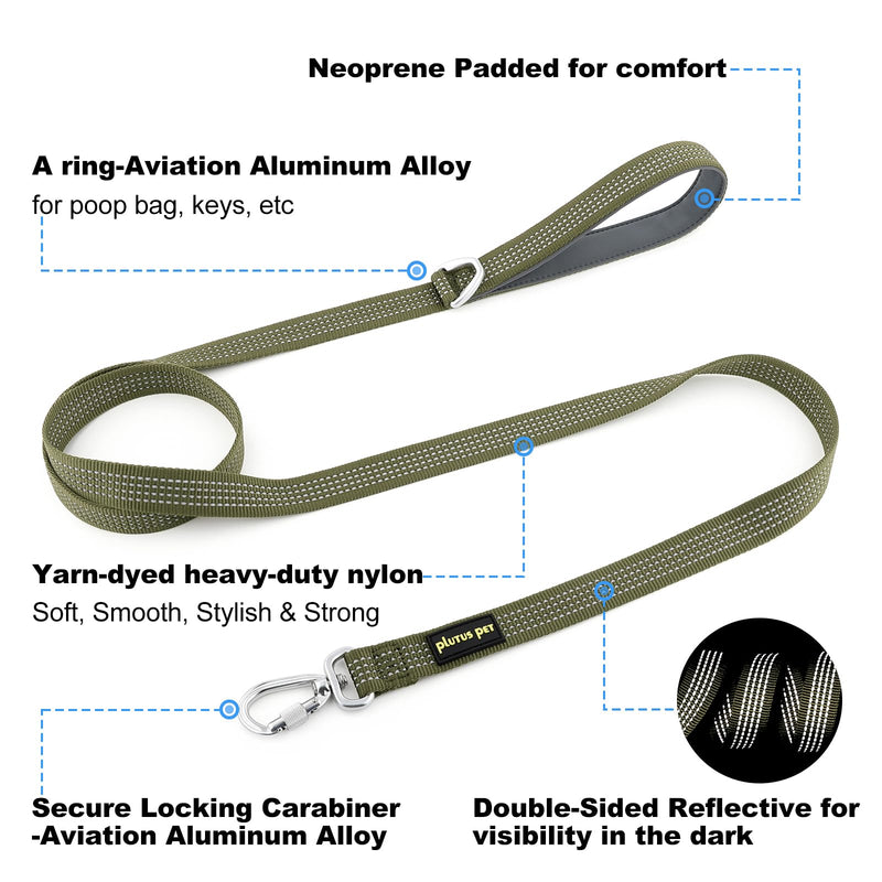 Plutus Pet Heavy Duty Dog Lead with Lockable Aluminum Carabiner, 4/6 Feet Long, Double-Sided Reflective Nylon, Padded Handle, for Puppy, Small, Medium and Large Dogs (Ranger Green, 2.0 x 120cm) Ranger Green