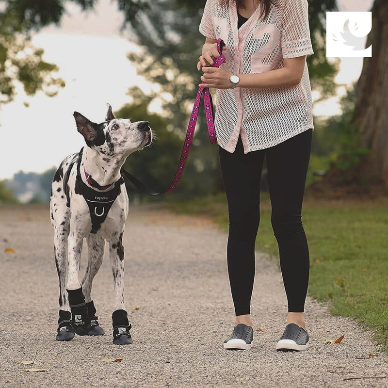 RC Pets Strider Dog Boot, Water Resistant, Paw Protection, X-Small XS 1