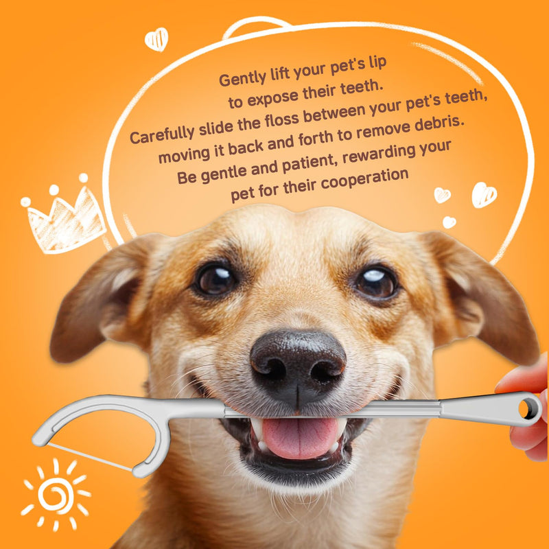 Dog Tooth Brush Picks Pet Dental Floss for Teeth Cleaning Plaque Remover for Teeth Dental Care for Small to Large Dogs, Cats 30 Count (Pack of 1) - PawsPlanet Australia