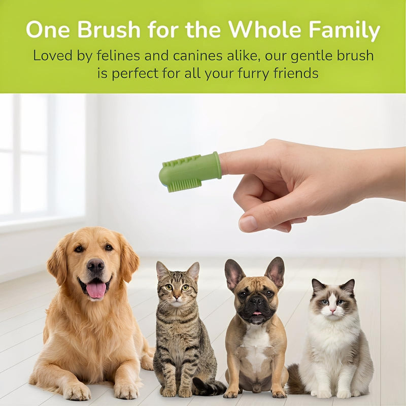 Dog Toothbrush Cat Toothbrush, 4-Piece Finger Toothbrush Set, Storage Box Gentle Teeth Cleaning for Dogs and Cats, Effective Plaque Removal