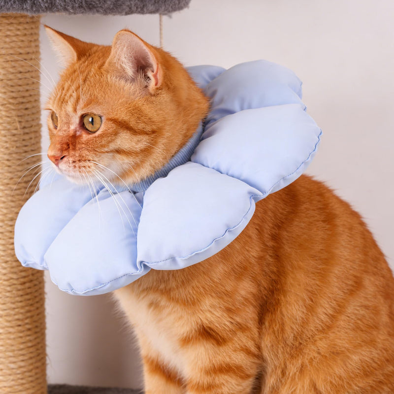GALPADA Adjustable Pet Collar Soft Elizabethan Style Recovery Collar Bite-Proof Protective Band for Dogs and Cats Small Medical Collar for Wound Healing