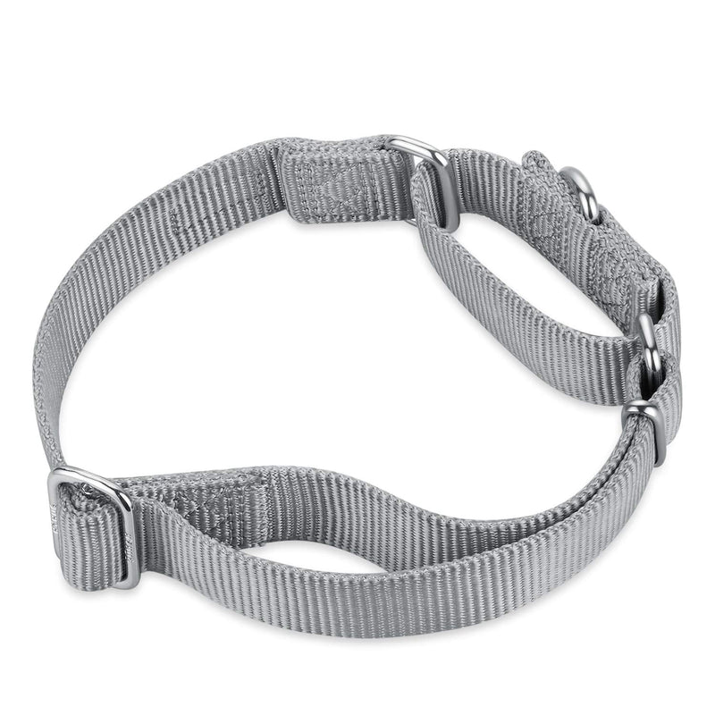 Hyhug Pets Premium Upgraded Heavy Duty Nylon Anti-Escape Martingale Collar for Boy and Girl Dogs Comfy and Safe - Professional Training, Daily Use Walking. Medium Sleet Gray - PawsPlanet Australia