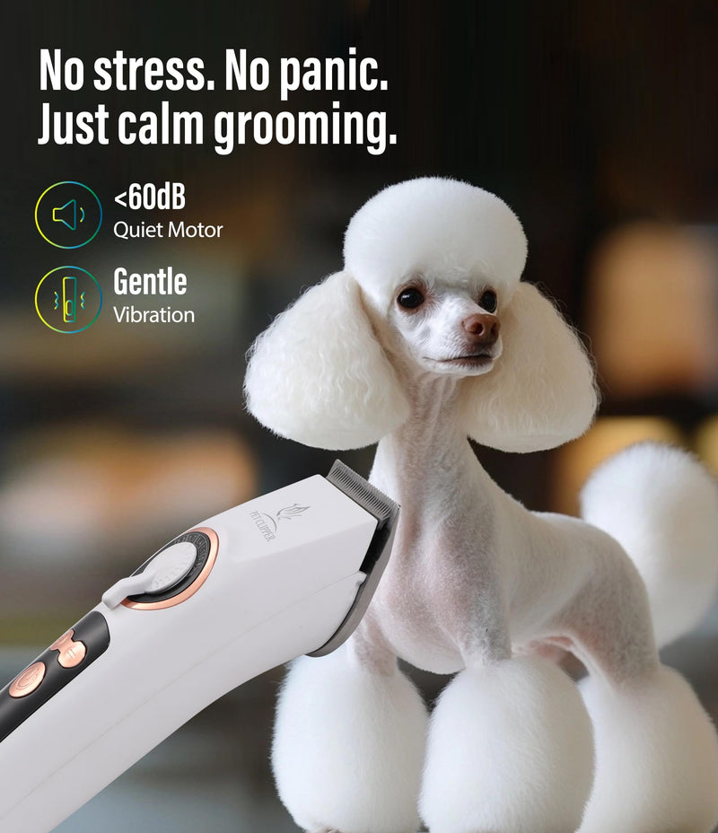 Professional Dog Grooming Clippers with 12H Runtime & Replaceable 440C Blade, 3-Speed Low Noise Electric Dog Shaver for Thick, Matted, Curly Hair, Cordless Clipper for Groomer & Home Use, White Clipper+10FC Blade - PawsPlanet Australia