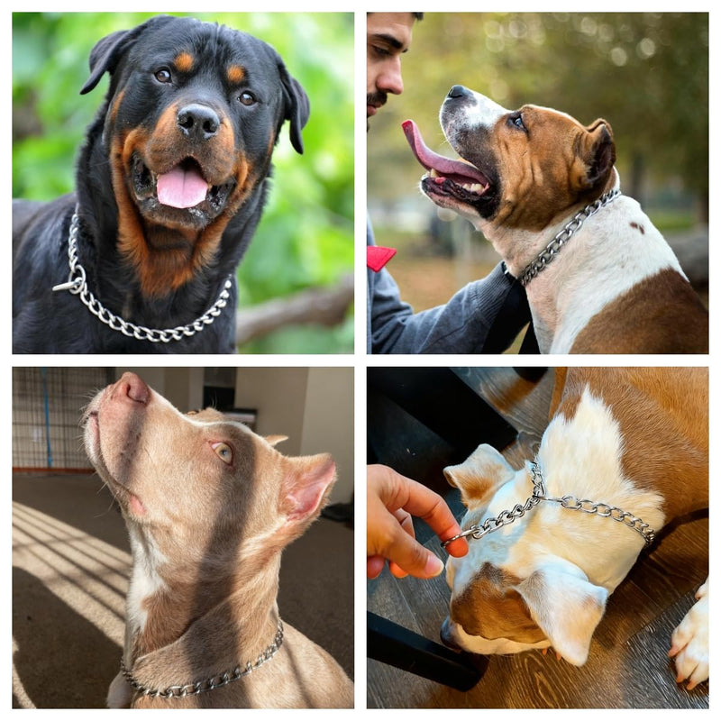 Silver Dog Chain Collars,Heavy Training Metal Dog Collar, Adjustable Slip Link Martingale Puppy Collars for XXS XS Small Medium Large Big XL Breed Dogs, XL Silver XL(Neck Max 22inch)D4mm - PawsPlanet Australia