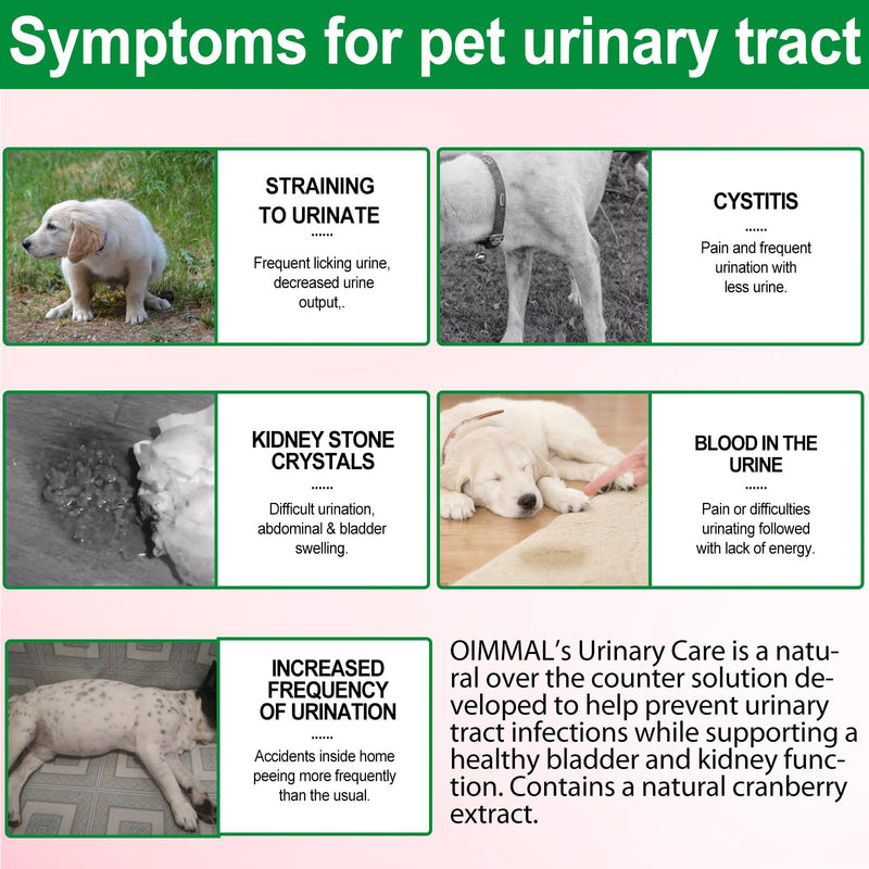 Urinary Tract for Dogs, Urinary Tract Infection Treatment Drops with Cranberry Extract Supports Bladder, Kidney Stone and Dog UTI, Pet Supplies Health Care for Dog, Bacon Flavor - 60ml / 2.02oz - PawsPlanet Australia