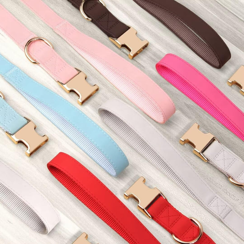 PET ARTIST Soft PU Leather Dog Collar and Leash Set, Bright & Stylish 5FT PU Leather Leash and Collar Set, Durable Pet Collars with Quick Release Metal Buckle for Medium Dogs,Blue,M(13-19") M: Fit 13-19" Neck Blue - PawsPlanet Australia