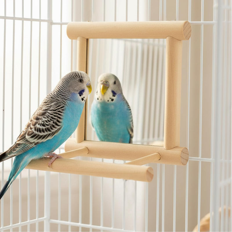Hypeety Bird Parrot Mirror Toy Swing Hanging with Perch for Parrot Parakeet Budgies Cockatiel Conure Finch Lovebird (D) Wooden Mirror with Perch