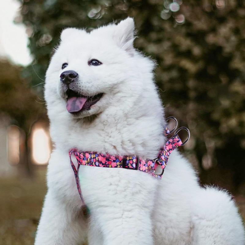 QQPETS Dog Harness Leash Set Adjustable Heavy Duty No Pull Halter Harnesses for Small Medium Large Breed Dogs Back Clip Anti-Twist Perfect for Walking S(14"-20" Chest Girth) Floral Pink