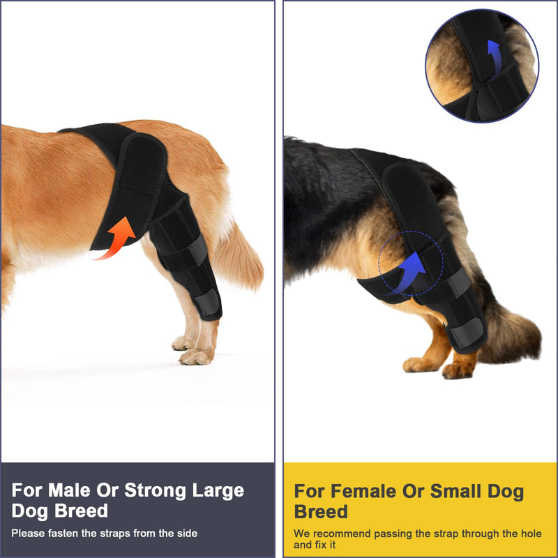 Dog Rear Leg Braces, For Support With Cruciate Ligament Torn Injury Joint Hip And Muscle Sore Dog Leg Braces for Back Leg Dog ACL Brace Knee Brace for Dog ACL Brace Hind Leg (Black, Size M)