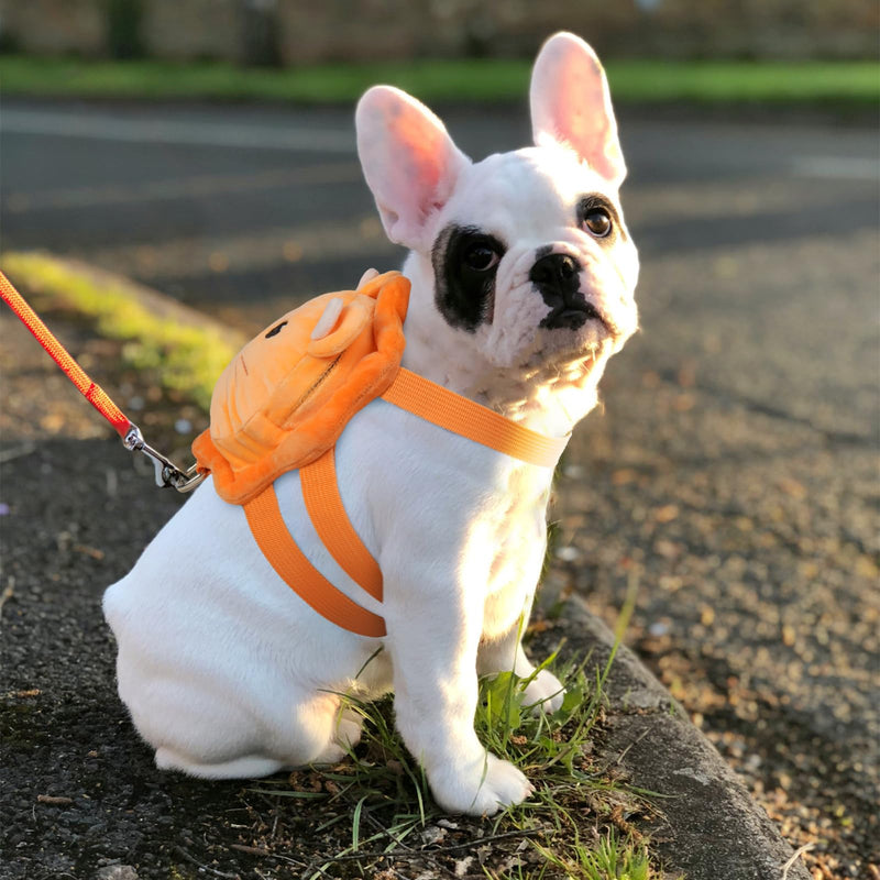 ROZKITCH Dog Backpack Harness, Soft and Adjustable Pet Saddle No Pull Bag with D-Ring for Small Medium Dogs, Cute Lion Design for Outdoor Travel, Walking, and Hiking Animal Self Carrier Bag S S(Chest: 13.7-17.3"; Neck:10.2-12.6") - PawsPlanet Australia