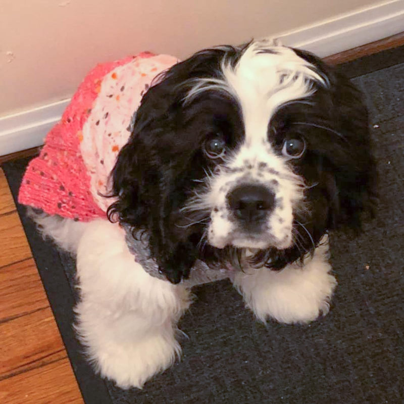 KYEESE Dog Sweater Color Block with Fuzzy Thread Knitted Turtleneck Dog Knitwear with dots in a Variety of Colors for Small Dogs Fall Winter Dog Clothes, Pink, M Medium (7-11lbs) 2# Pink - PawsPlanet Australia