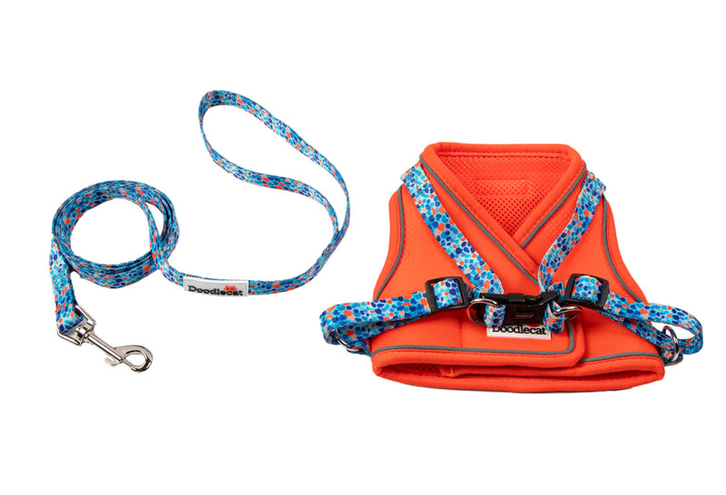 Doodlecat - Cat Harness and Lead Set - Adjustable Step In Mesh Cat Harness with Reflective Piping, Breathable Fabric and Secure Fit for Outdoor Walking - Small 28-33cm - Tangerine & Reef