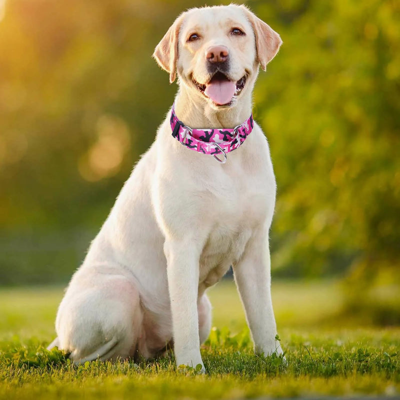 Martingale Collar for Dogs, No-Slip Escape Proof Choke No Pull Cinch Soft Nylon Dog Training Collars Adjustable for Small Medium Large Breed Pet Dogs, Pink Camo S 12 - PawsPlanet Australia