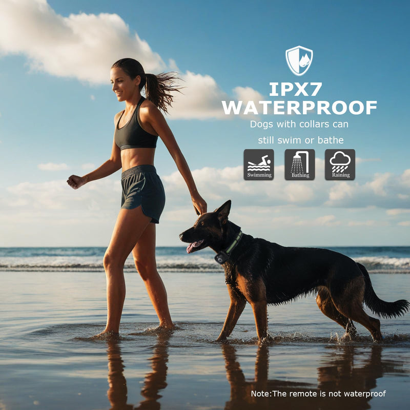Dog Training Collar 2 Dogs Upgraded 2600FT Remote Rechargeable Waterproof Electric Shock Collar with Beep Vibration Shock for All Dogs (5-120lbs), Black for 2 dogs - PawsPlanet Australia