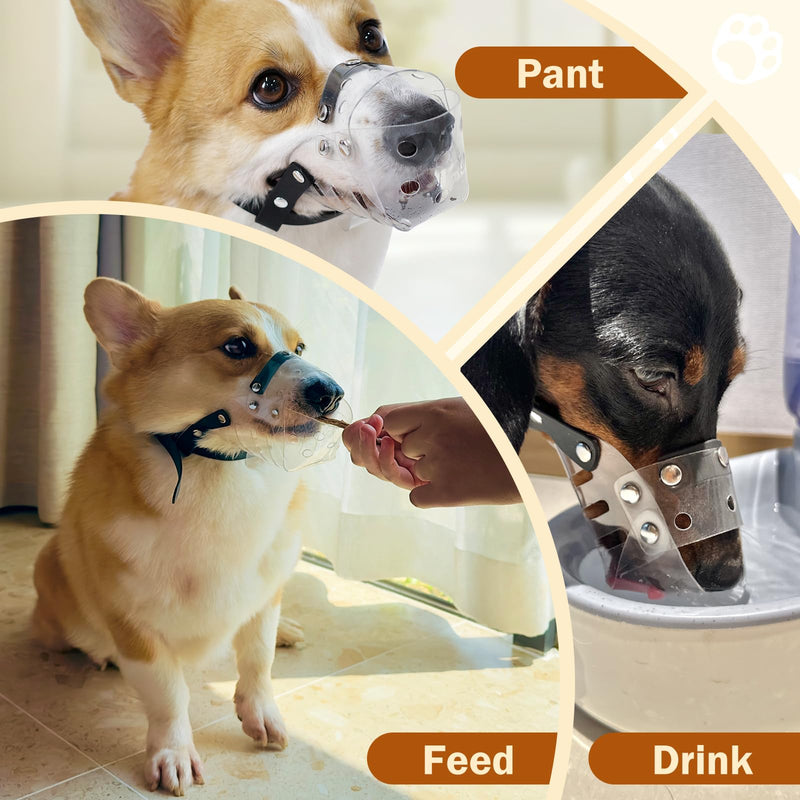 Mayerzon Dog Muzzle, Basket Muzzle for Small Medium Dogs Poodle Dachshund Corgi, Clear Puppy Mouth Cover for Grooming Vet Visits to Prevent Biting Chewing Scavenging, Allow Panting Drinking XS [Snout Cir: 5-6"] - PawsPlanet Australia