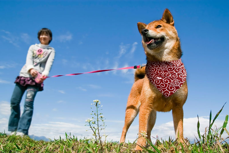 Shiba Inu Dog Karakusa Bandana Large with Kawaii Shibaken Logos & Shiba Kanji Logos Comfortable, Washable, and Stretchy Pet Scarf Size One-Sided Print (Red) Red - PawsPlanet Australia